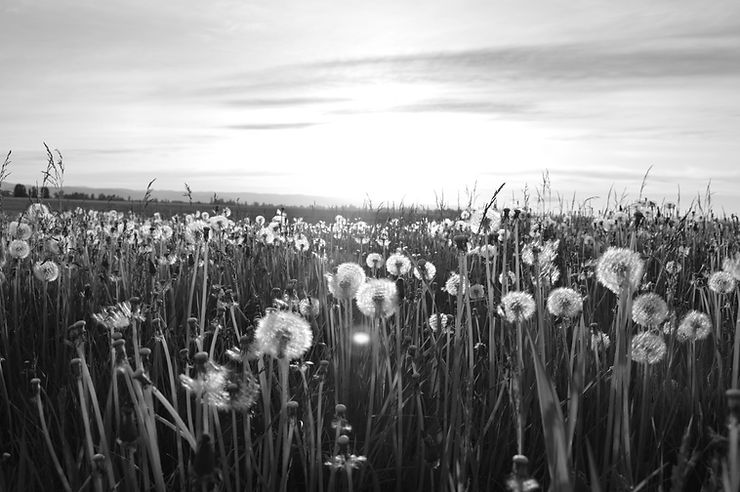 Be excited about spring again with natural ways to relieve allergies